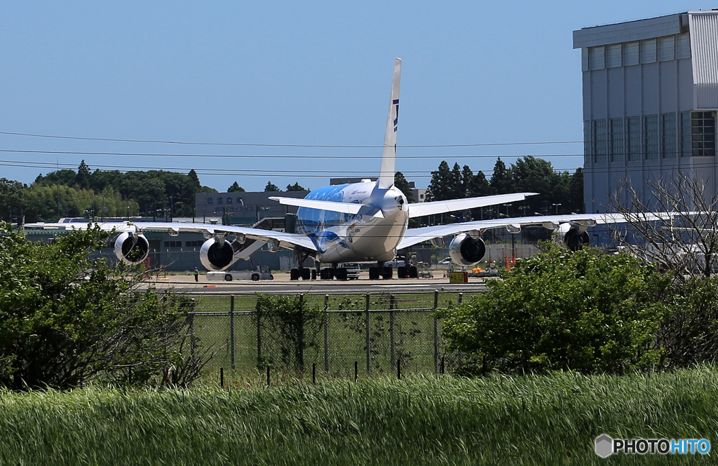  「晴れ」お休み中でしたね、後ろからスミマセン⁉