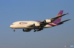 「青色が好き」 THAI A380-841 HS-TUB Landing 