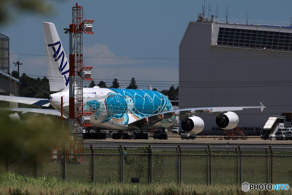  「晴れ」ANA A380 お休み中？ウミガメ２号機