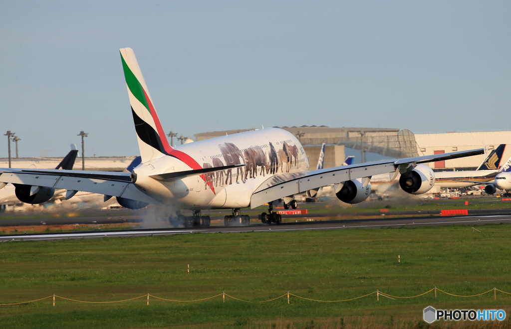「あおぞら」エミレーツ特別塗装A380　A6-EEQ  Landing 