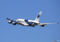 「青が大好き」 Malaysia A380-841 9M-MNE 離陸です