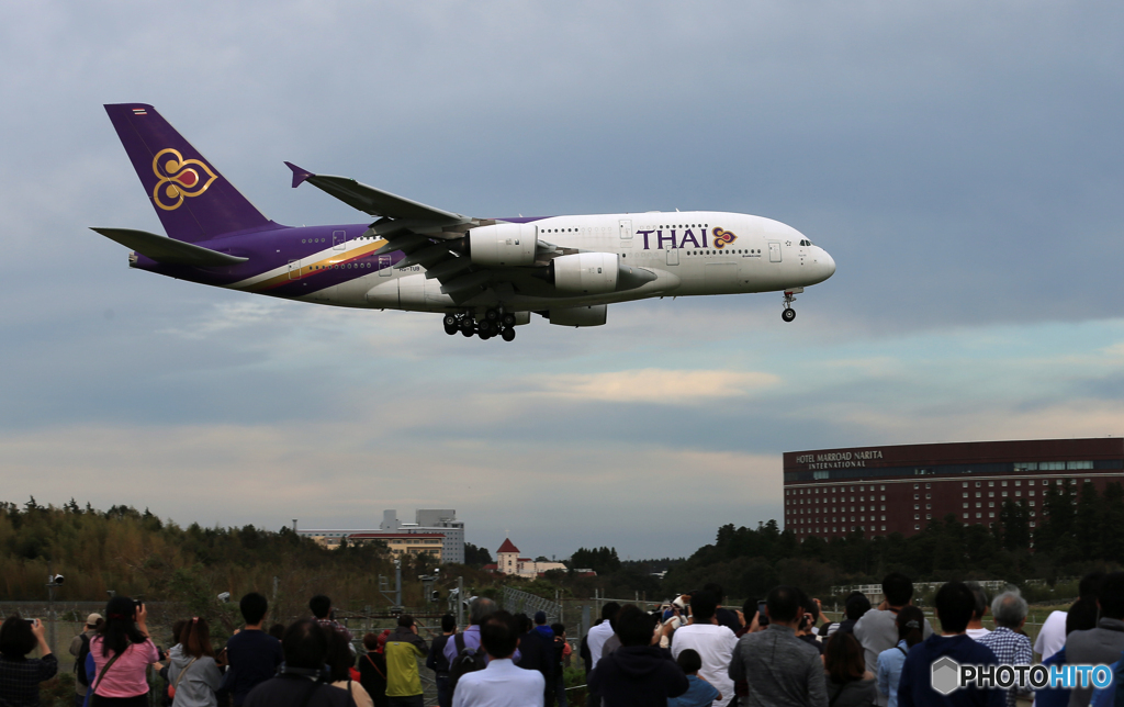 「晴れ」 THAI A380-841 HS-TUB  Landing