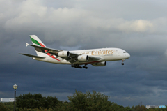 「SKY」 EMIRATES A380-861 Landing
