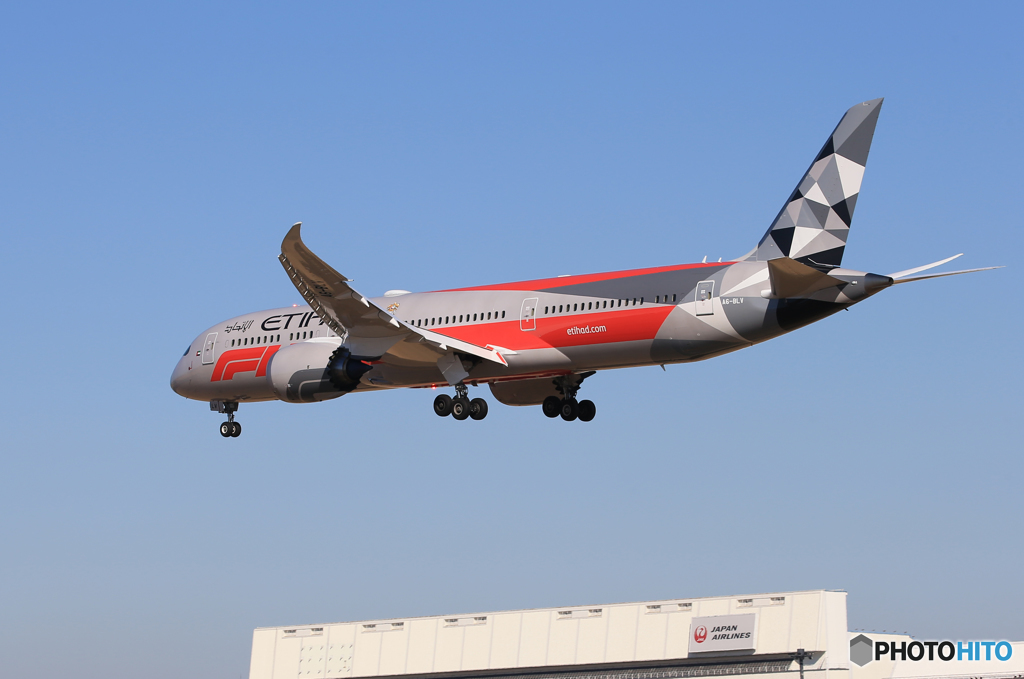 「青が大好き」　ETIHAD B787-9 F-1カラー ようこそ‼