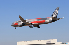 「青が大好き」　ETIHAD B787-9 F-1カラー ようこそ‼