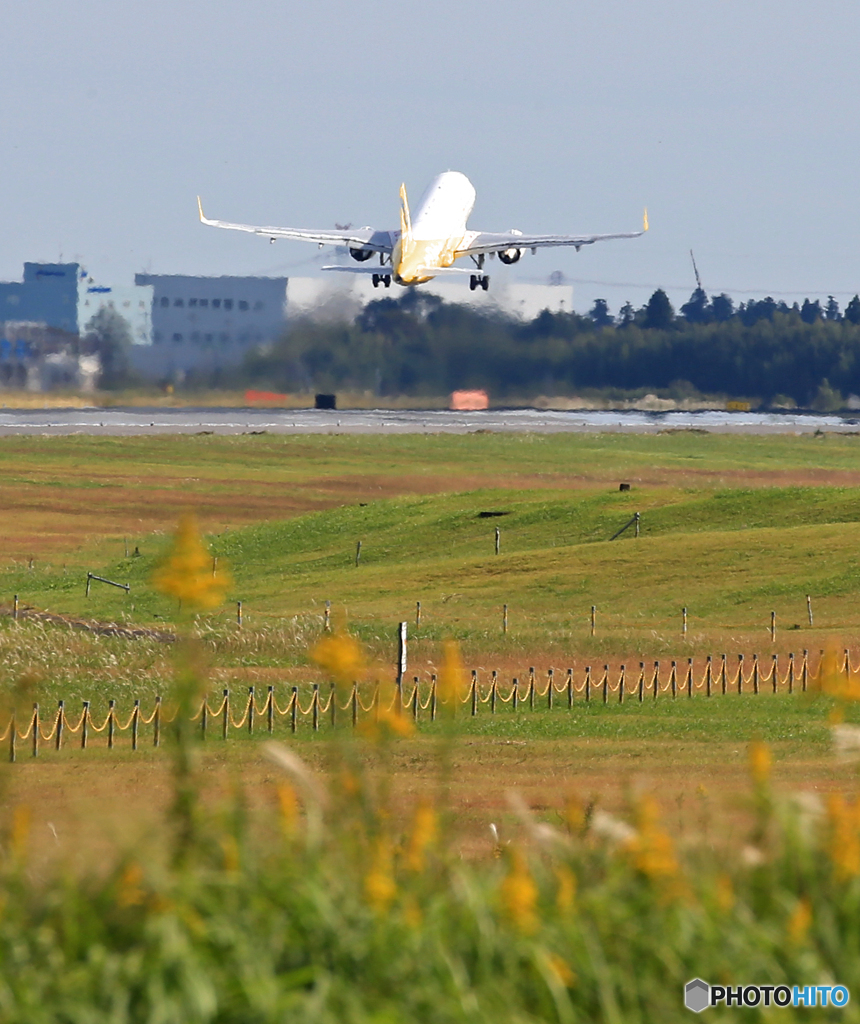 バニラ航空　最終便　お疲れさまでした