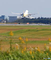 バニラ航空　最終便　お疲れさまでした