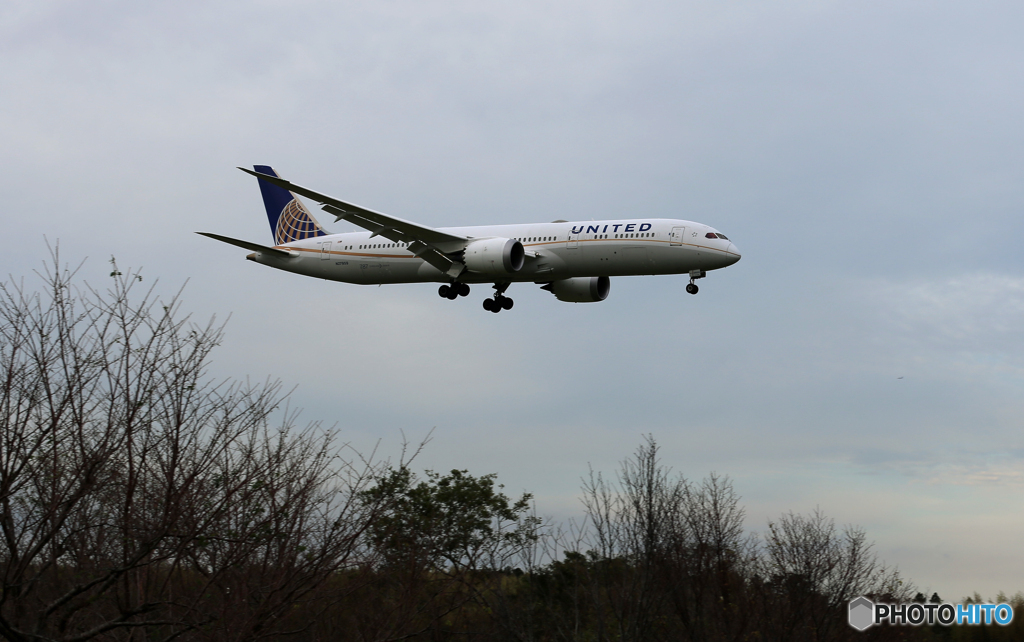 「令和」 UNITED 787-9 N27959  Landing 