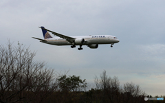 「令和」 UNITED 787-9 N27959  Landing 