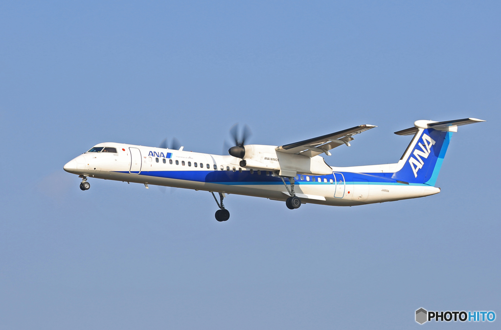 「青が大好き」 ANA DHC-8-400 JA859A  Landing 