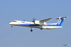 「青が大好き」 ANA DHC-8-400 JA859A  Landing 