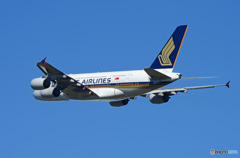 ☀「青い空」が一番 Singapore A380-841 9V-SKK