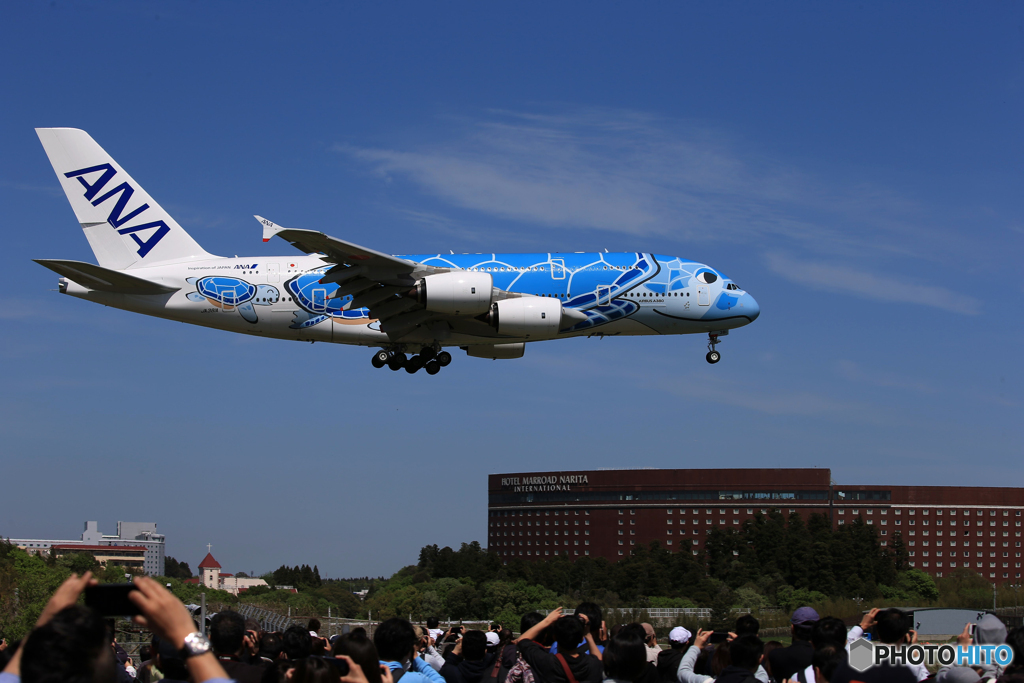 ☀「青い空」が一番 みんなで ‼ Flying Honu