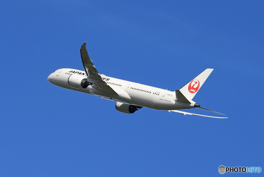 「青色が好き」JAL 787-9 JA872J 飛行