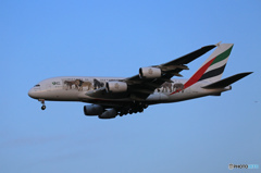 「良い天気」 エミレーツ動物愛護機A380-861 Landing