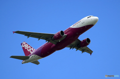 「すかい」Peach A320-214 JA814P 離陸します