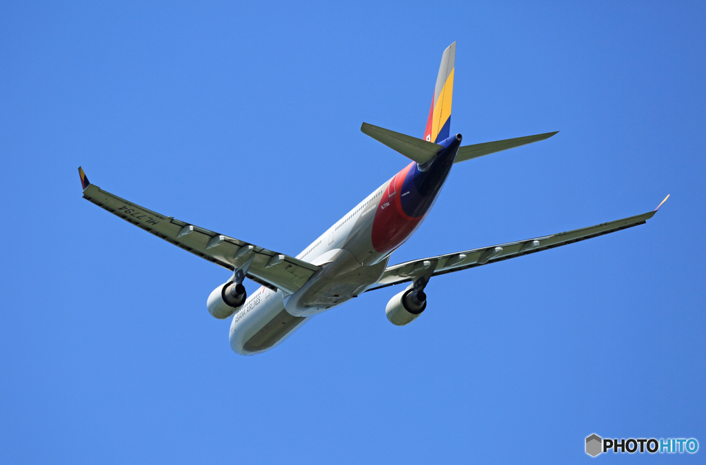 「スカイ」 Asiana A330-323 HL7794 出発 