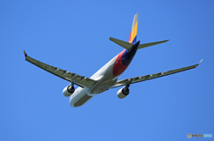 「スカイ」 Asiana A330-323 HL7794 出発 