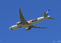  「晴れ」 STAR WARS JA789A
