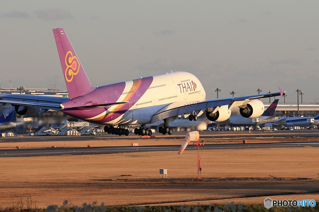 「スカイ」 THAI A380-841 HS-TUF Landing 