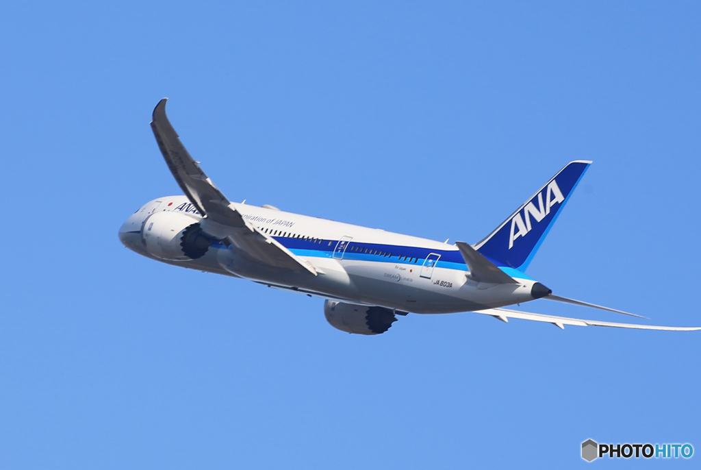 「青が大好き」ANA 787-8 JA803A 出発です