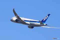 「青が大好き」ANA 787-8 JA803A 出発です