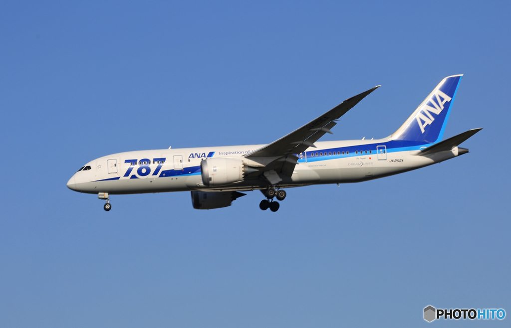☀「あおぞら」 ANA 787-8 JA806A Landing