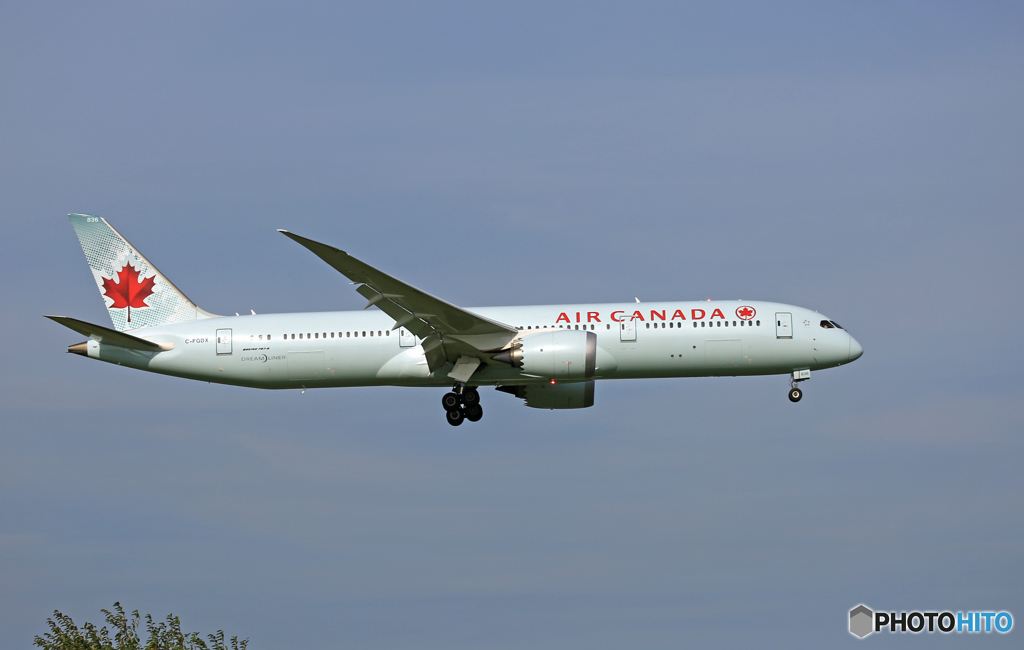「スカイ」 Air Canada 787-9 C-FGDX 到着です
