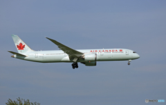 「スカイ」 Air Canada 787-9 C-FGDX 到着です
