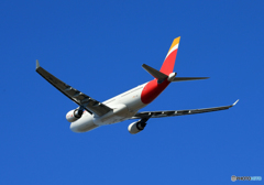 「青が好き」 IBERIA A330-202 EC-MKJ離陸します