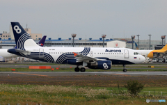  「晴れ」Aurora A319-112 BQ-BWV 離陸です