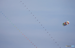 「Cool」凧糸が見えない・丸いカラフル凧 (2)