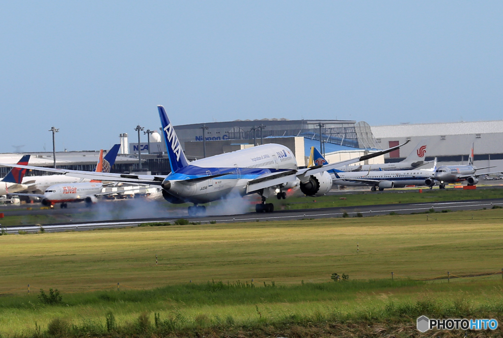 「青が好き」 ANA 787-8 JA834A 到着