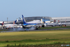 「青が好き」 ANA 787-8 JA834A 到着