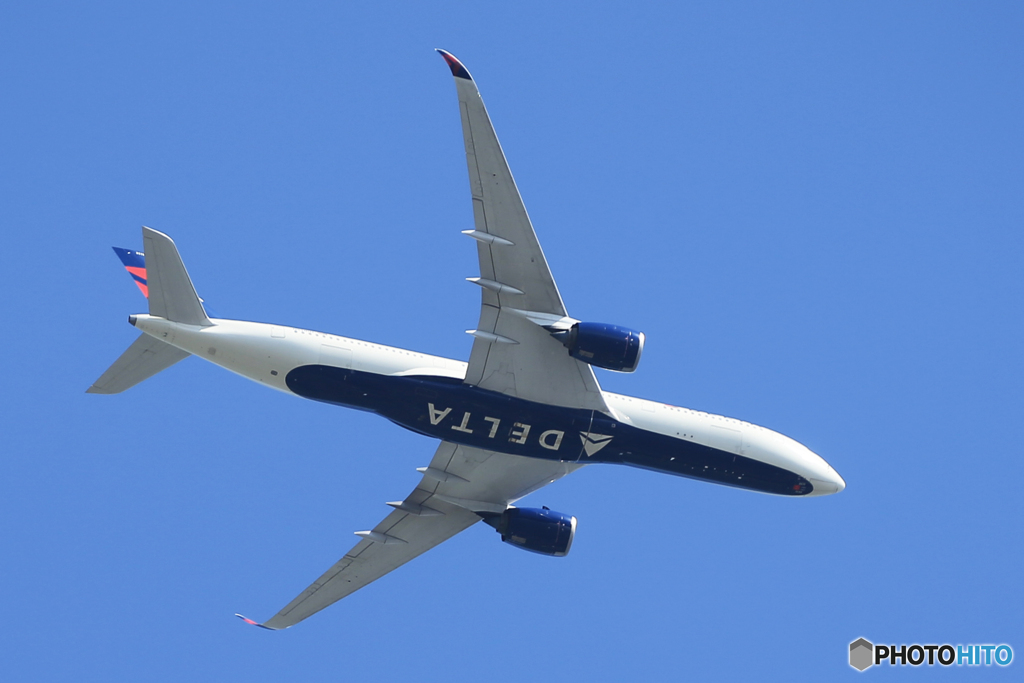 「スカイ」デルタ  エアバス A330