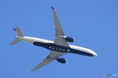 「スカイ」デルタ  エアバス A330