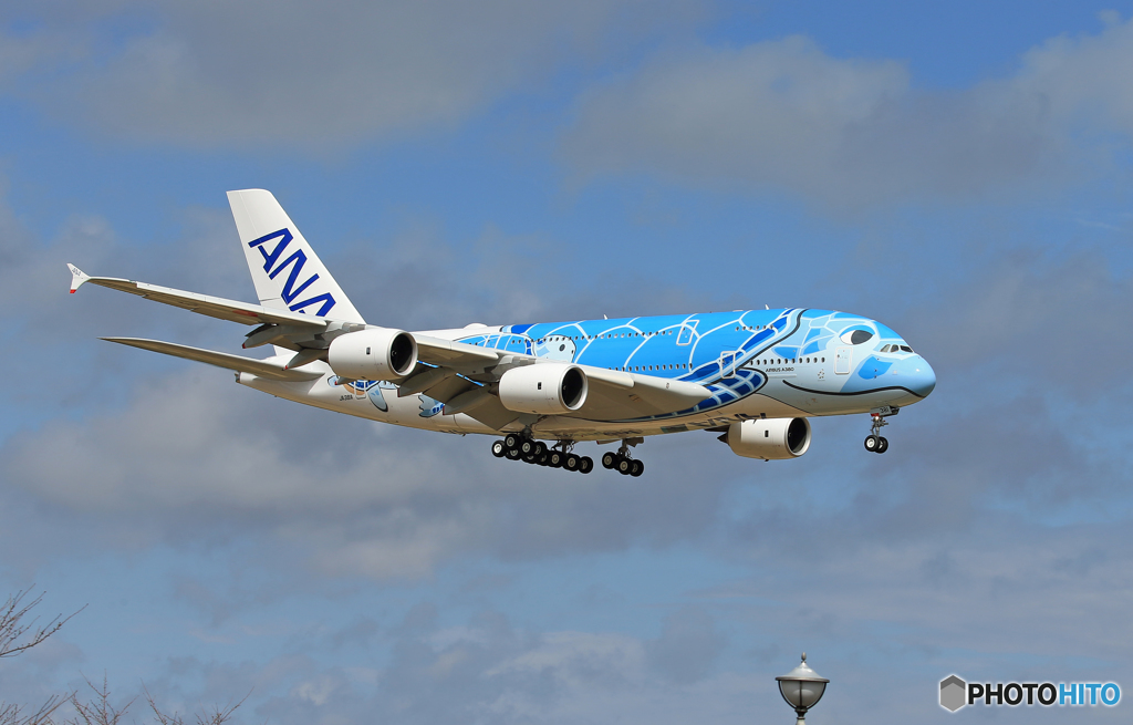 「群青色」 ANA A380-841 [ホヌ] JA381A 通過