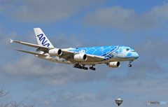 「群青色」 ANA A380-841 [ホヌ] JA381A 通過