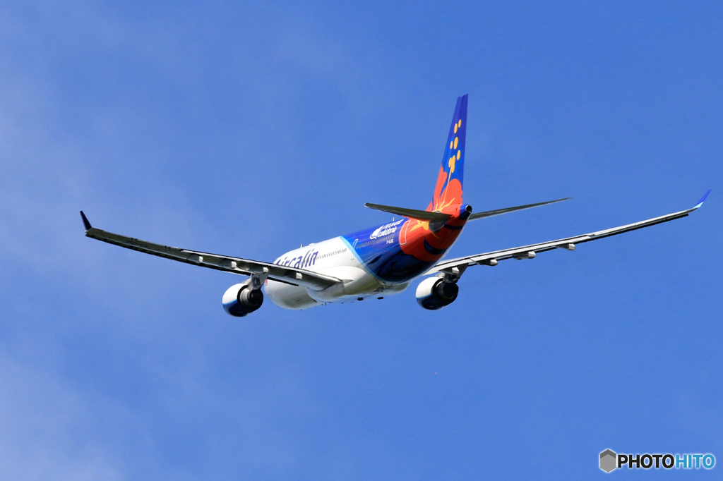 「青が大好き」 Air Calin A330-202 Takeoff 