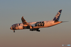 「スカイ」 ANA 「Star Wars」 B787-8 Landing 