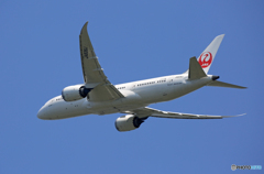 JAL 787-8 JA835J Takeoff 