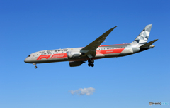 「あおいそら」ETIHAD F-1  787-9  Landing