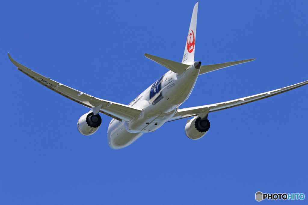 「あおぞら」 Japan Airlines「勝色」787-8 Takeoff