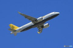 「SKY」ロイヤルブルネイA320-251 V8-RBA Takeoff