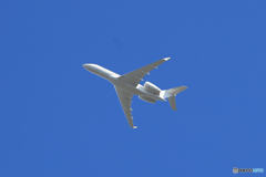 「青が大好き」プライベート機　白い未確認物体  出発