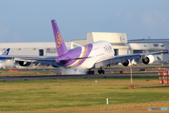 「群青」 Thai A380-841 HS-TUE  Landing