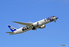 「すかい」 STAR WARS 787-8 JA873A Takeoff
