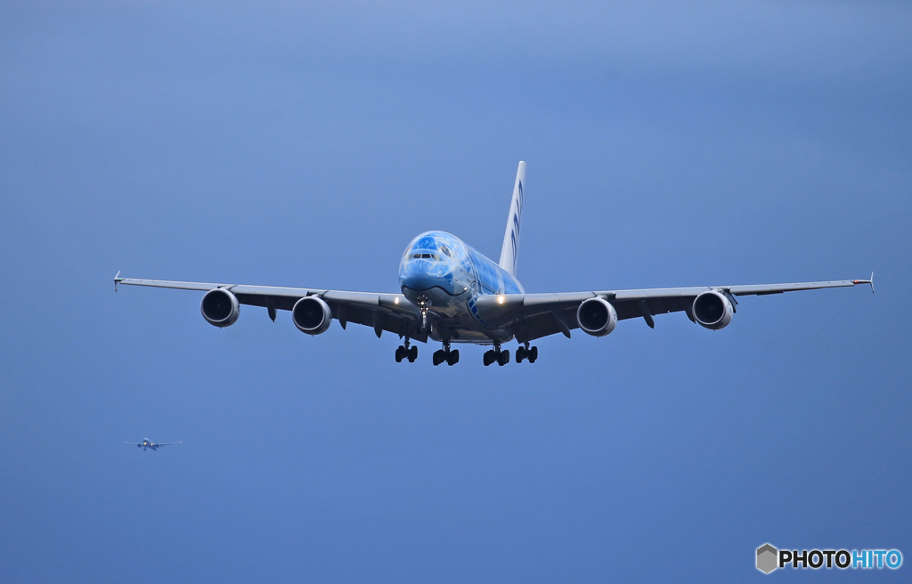 「スカイ」ANA Flying Honu A380-841 Landing