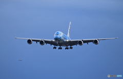 「スカイ」ANA Flying Honu A380-841 Landing