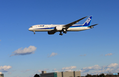 「すかい」 ANA 787-9 JA877A Landing